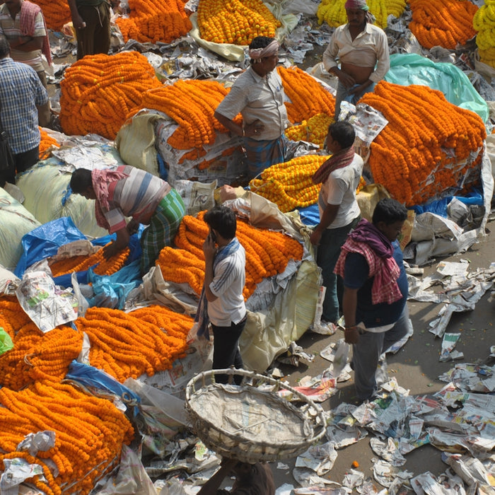 group of person standing outdoors