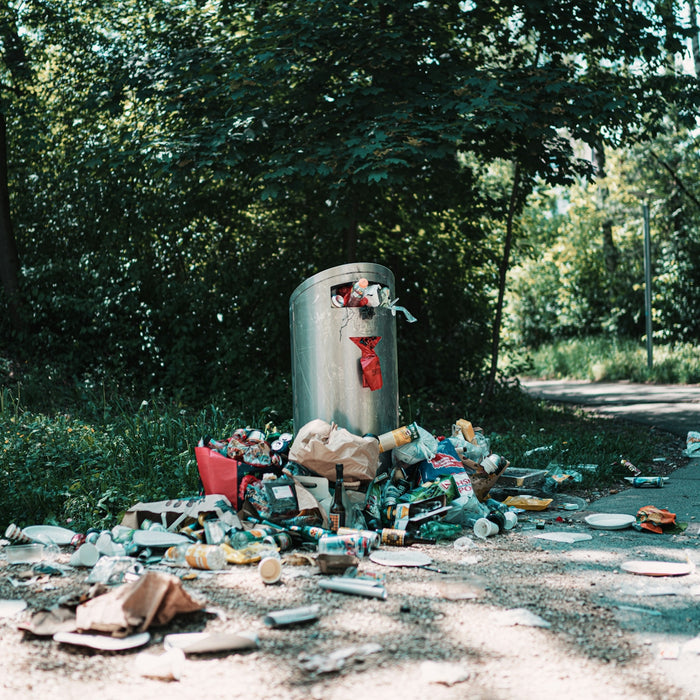 garbage bin near green trees during daytime