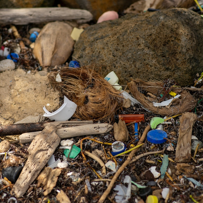 white and brown brush on brown dried leaves