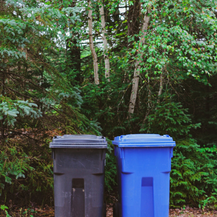 green and blue trash bins