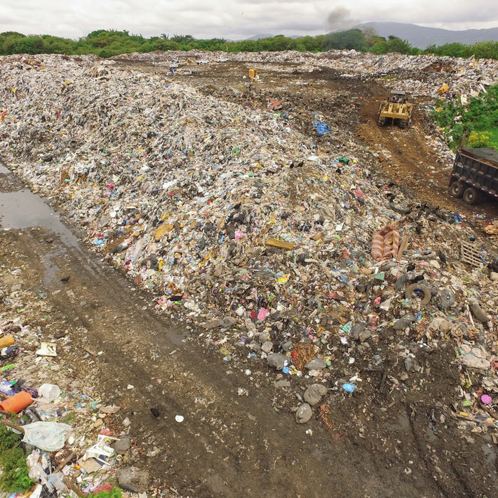 people on beach during daytime