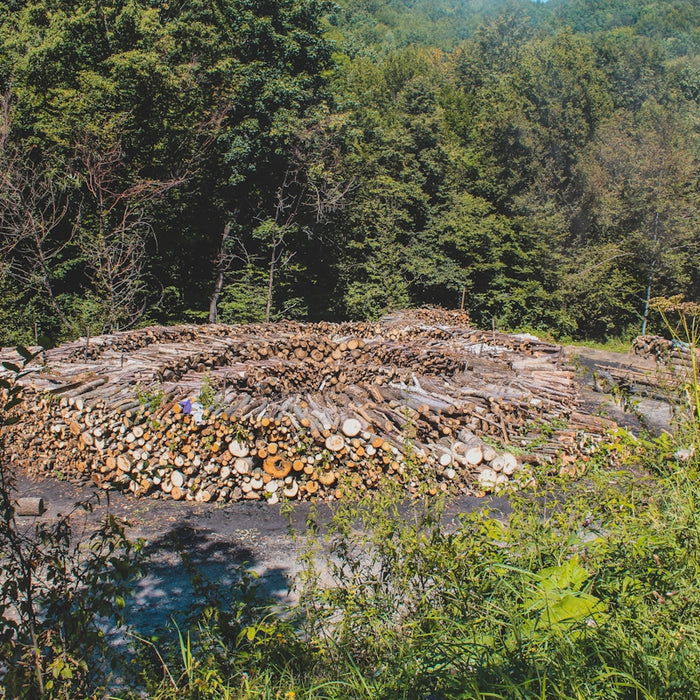 a pile of logs sitting in the middle of a forest