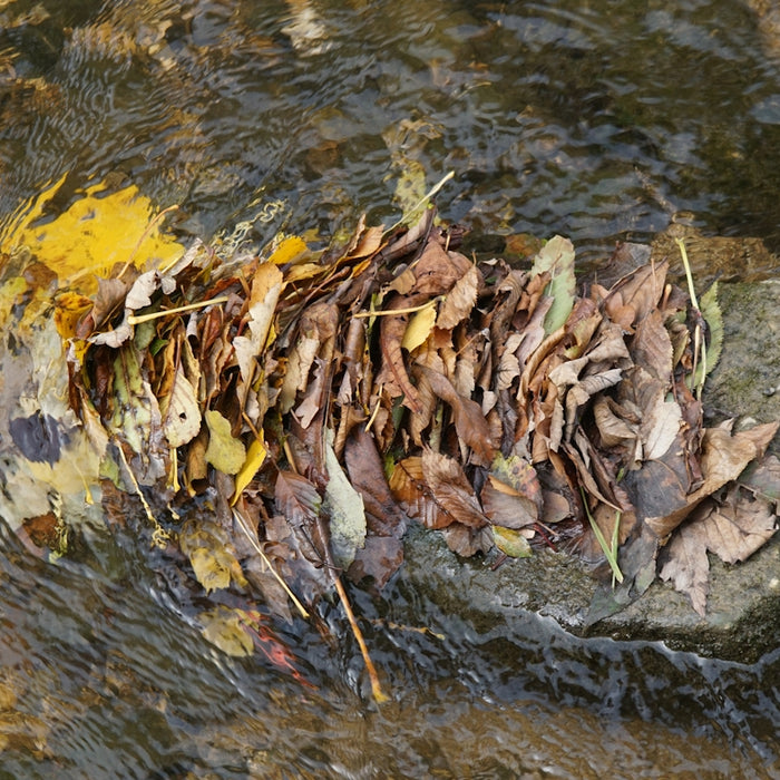a pile of leaves sitting on top of a rock in a river