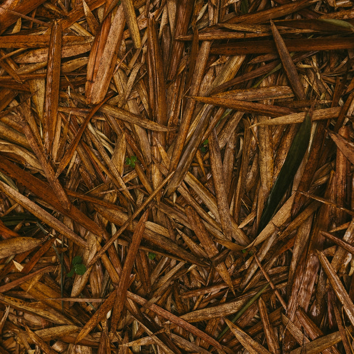 A close up of a pile of wood chips