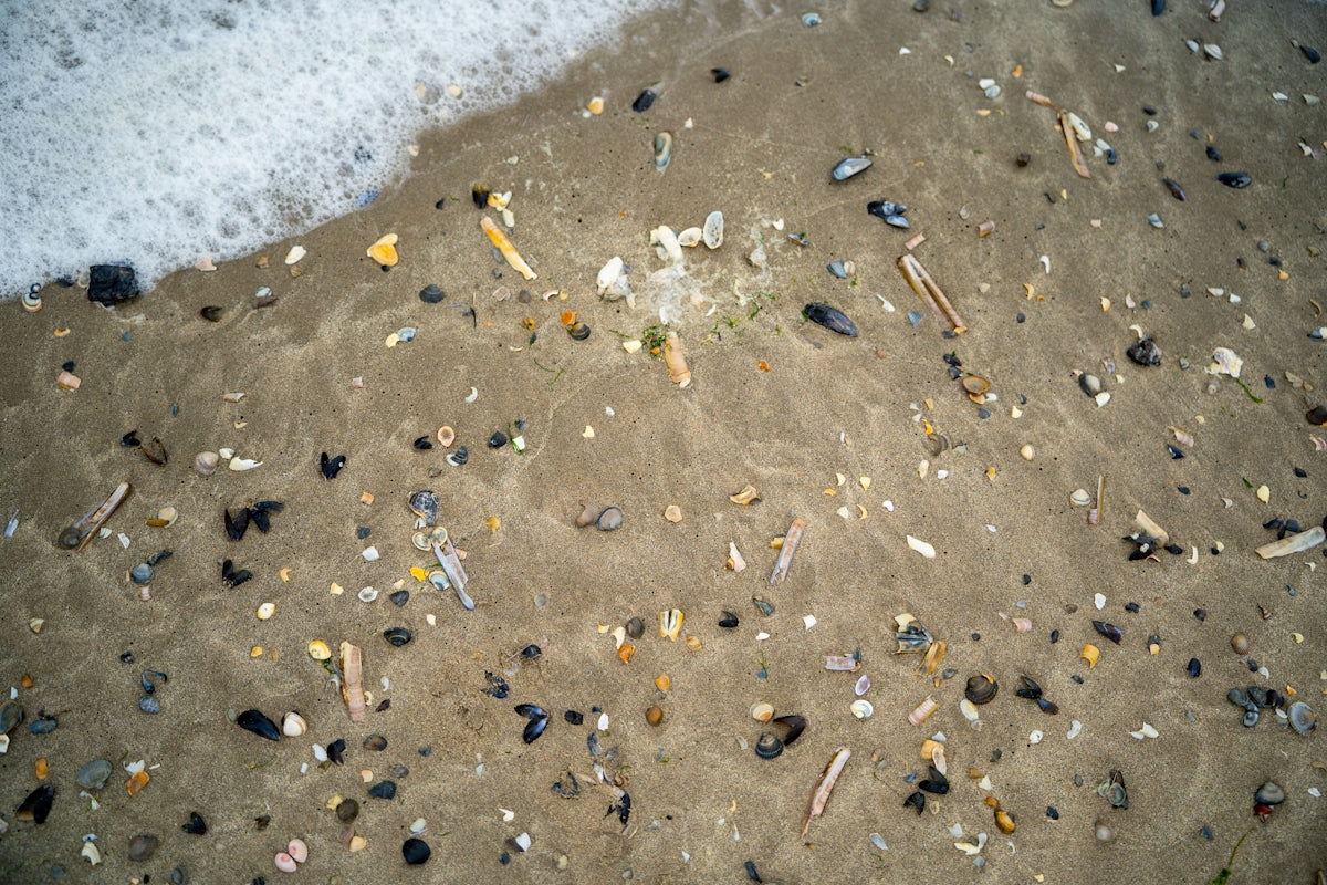 A sandy beach covered in lots of debris