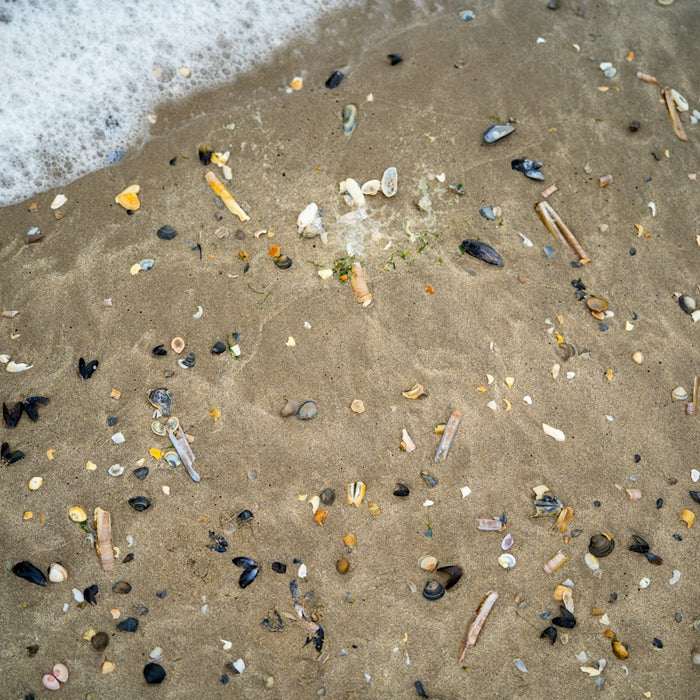 A sandy beach covered in lots of debris