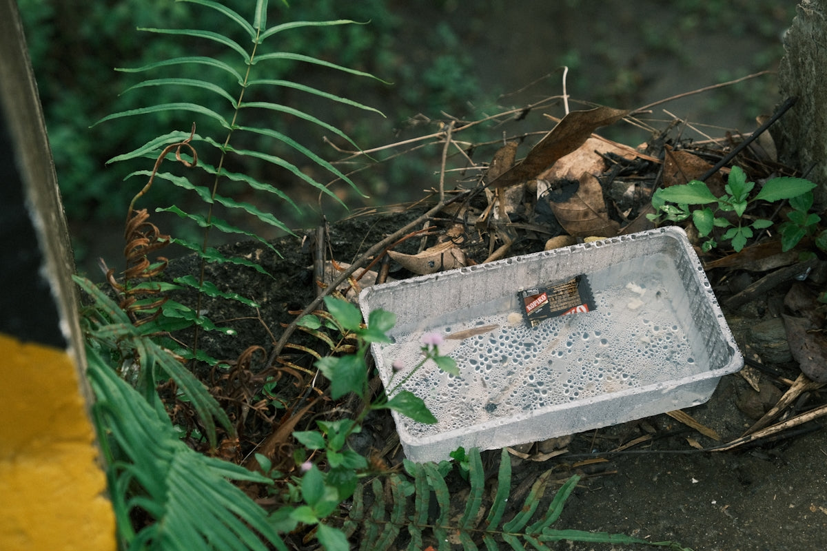 A trash can sitting in the middle of a forest