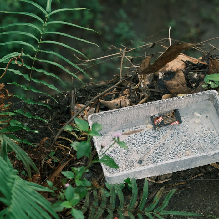 A trash can sitting in the middle of a forest