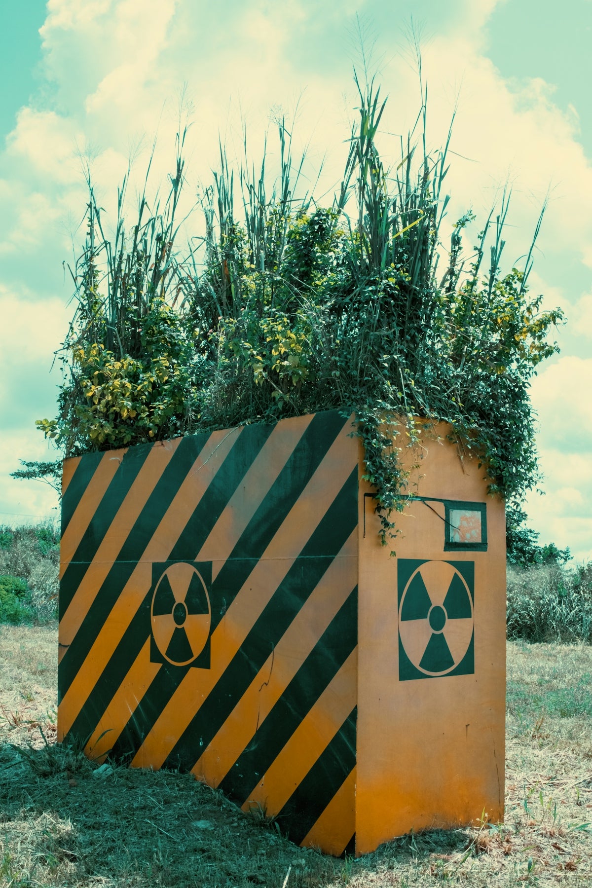 Radiation warning symbol box with overgrown plants.