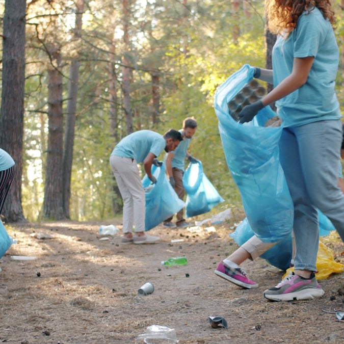Volunteers cleaning up litter in a forest setting.