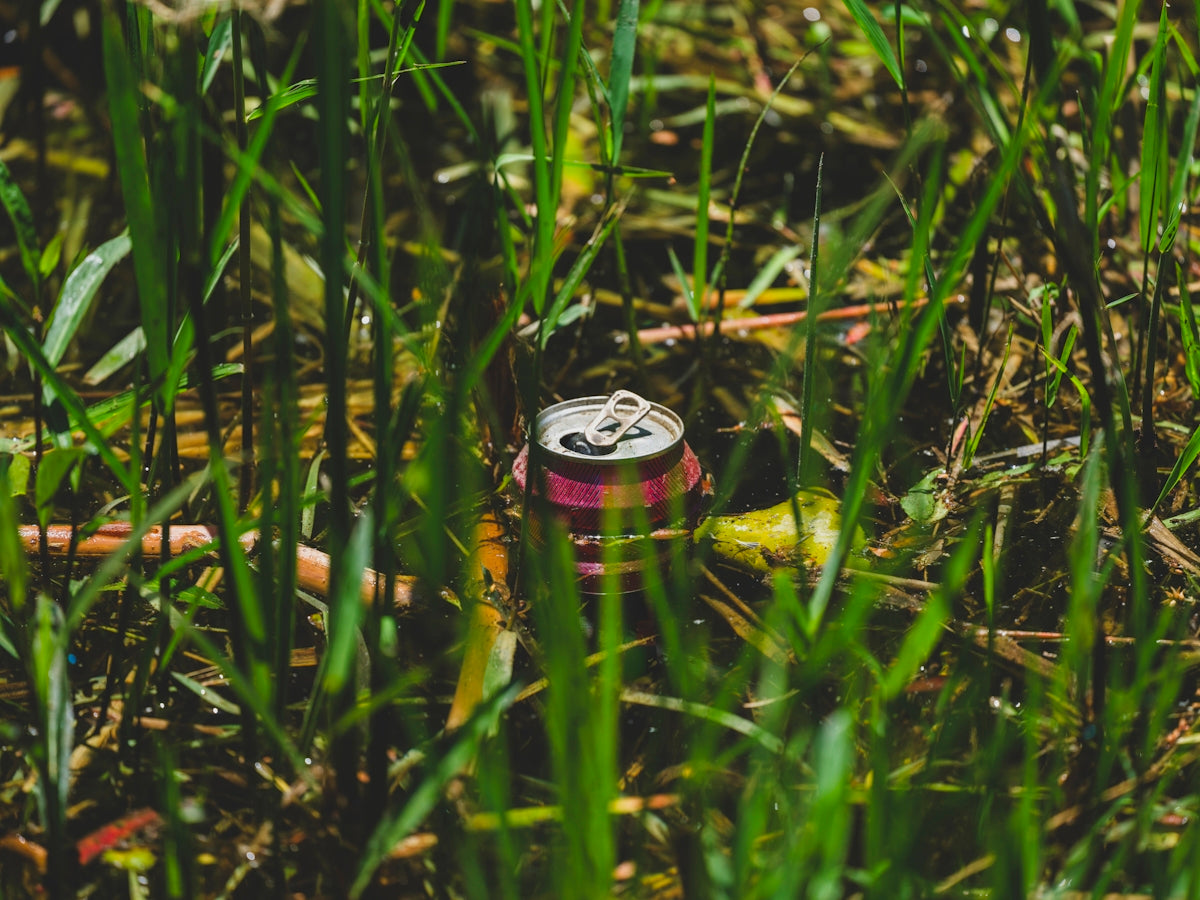 A discarded soda can lies in the grass